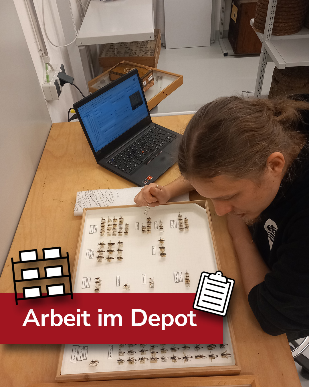 Dieser Alternativtext wurde KI-generiert: Eine Person arbeitet konzentriert an einem Tisch mit einem Laptop und verschiedenen Gegenständen. Auf dem Tisch befinden sich kleine Objekte und Dokumente, die scheinbar untersucht und sortiert werden.