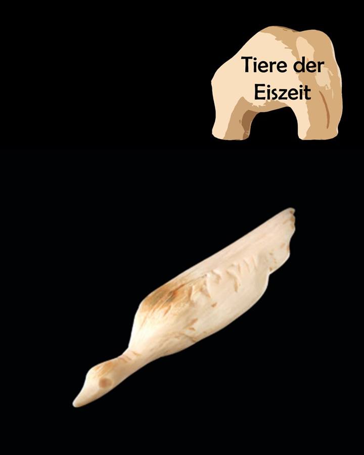 Dieser Alternativtext wurde KI-generiert: Es sind zwei schematische Darstellungen von Zähnen auf schwarzem Hintergrund zu sehen. Der obere Zahn ist breiter und der untere ist länglich und spitz.