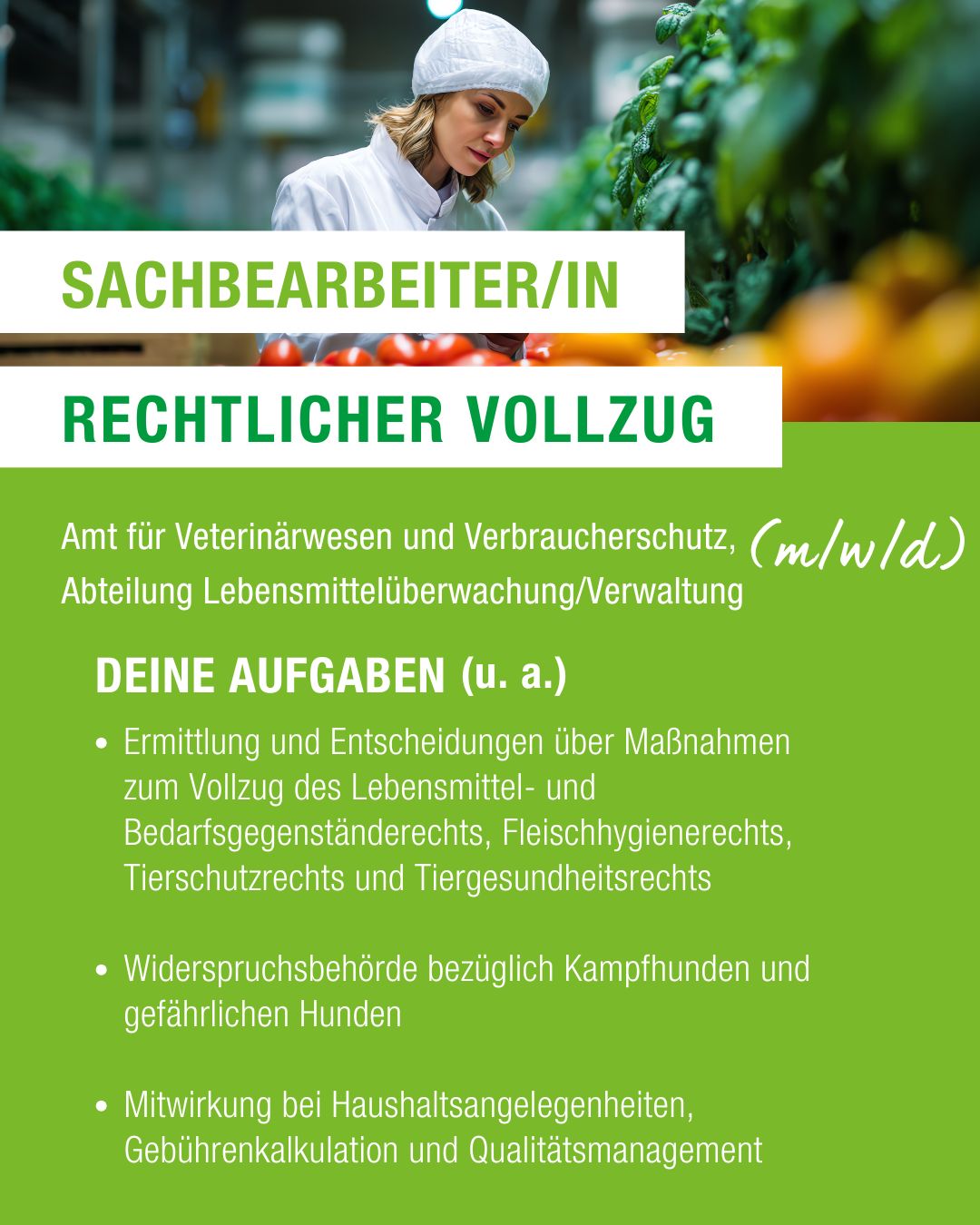 Dieser Alternativtext wurde KI-generiert: Ein farbiges Dokument mit Text und einer Darstellung von Gemüse im oberen Bereich. Der Text scheint eine Stellenanzeige für eine Behörde zu sein.