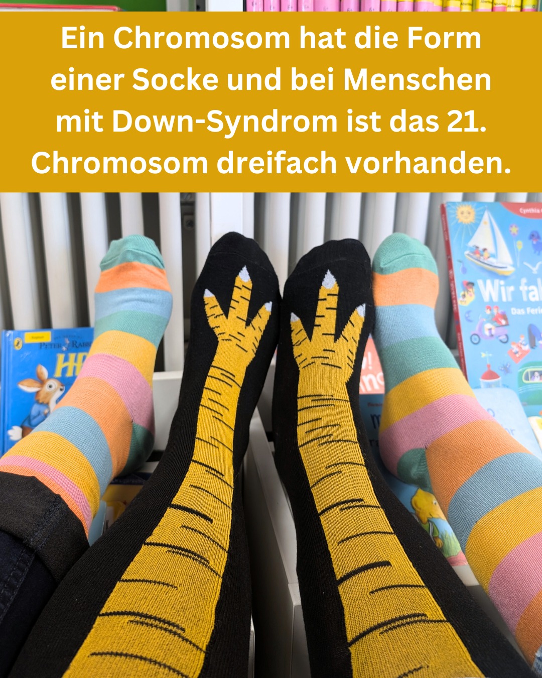 Bild von zwei Paar Socken. Eine Socke zeigt ein Chromosom und die andere viele bunte Streifen.