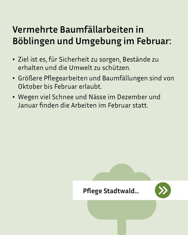 Text über Baumfällarbeiten in Böblingen im Februar.

Ziel ist es, für Sicherheit zu sorgen, Bestände zu erhalten und die Umwelt zu schützen.
Große Pflegearbeiten sind von Oktober bis Februar erlaubt.
Wegen Schnee und Nässe im Dezember und Januar finden diese im Februar statt.

Unten ist ein Baum-Symbol mit der Aufschrift 'Pflege Stadtwald'.