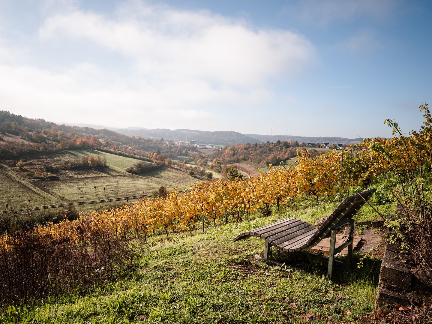 Ein Holzliegestuhl steht auf einer Wiese mit Blick auf ein herbstliches Weinbergslandschaft. Der Himmel ist leicht bewölkt.