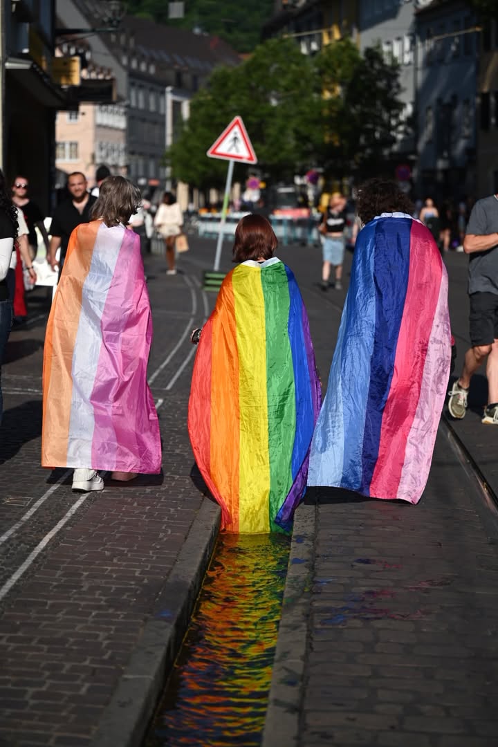Drei Personen von hinten, eingehüllt in Regenbogen- und Transgender-Flaggen, gehen eine gepflasterte Straße entlang; die Farben der Flaggen spiegeln sich im Wasser eines Straßenrinnsteins. (KI-Alternativtext)