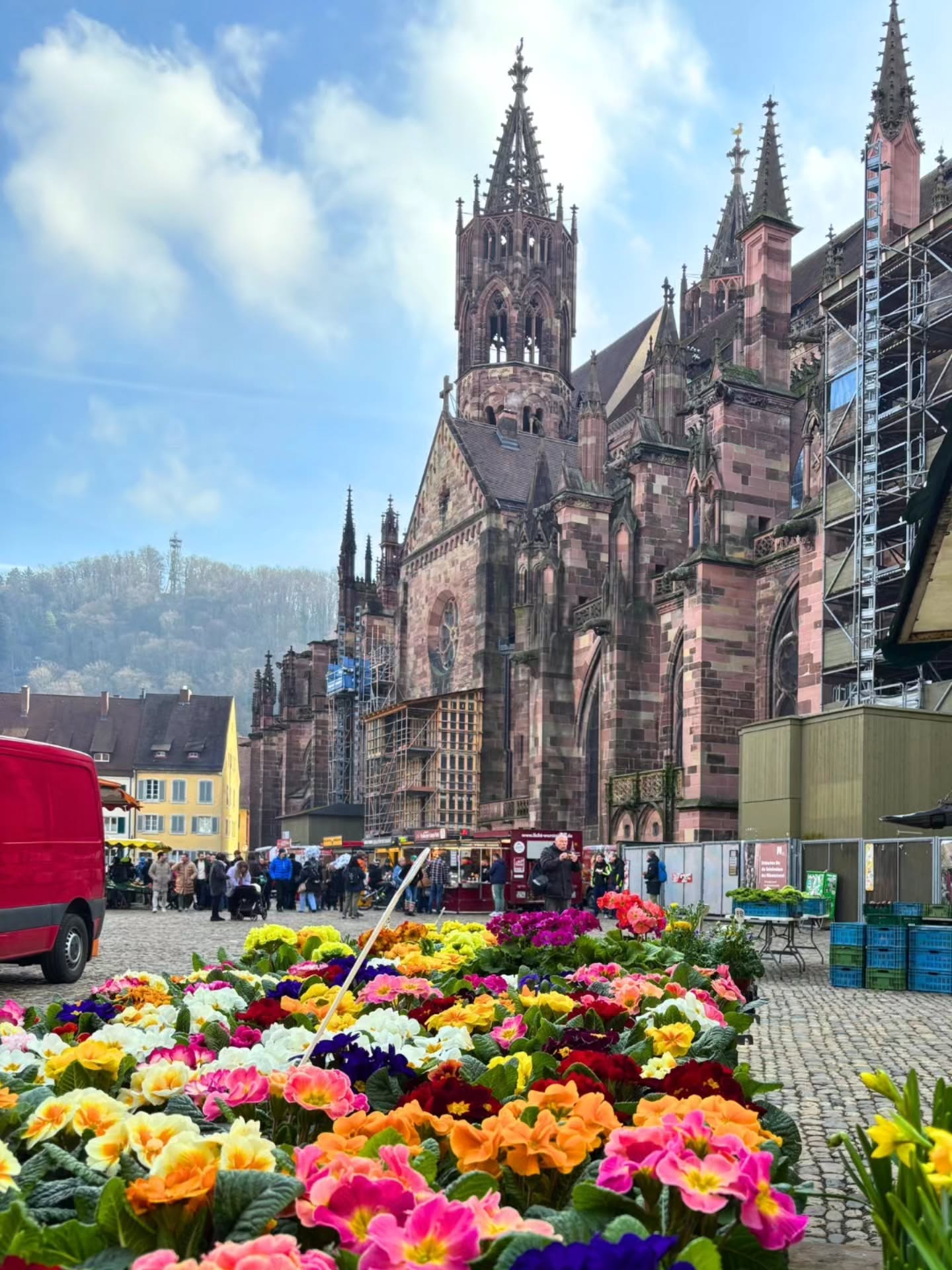 Dieser Alternativtext wurde KI-generiert: Eine Aufnahme zeigt eine große, gotische Kathedrale mit rotem Sandstein im Hintergrund einer hügeligen Landschaft. Im Vordergrund blühen bunte Blumen vor einer Pflasterung.