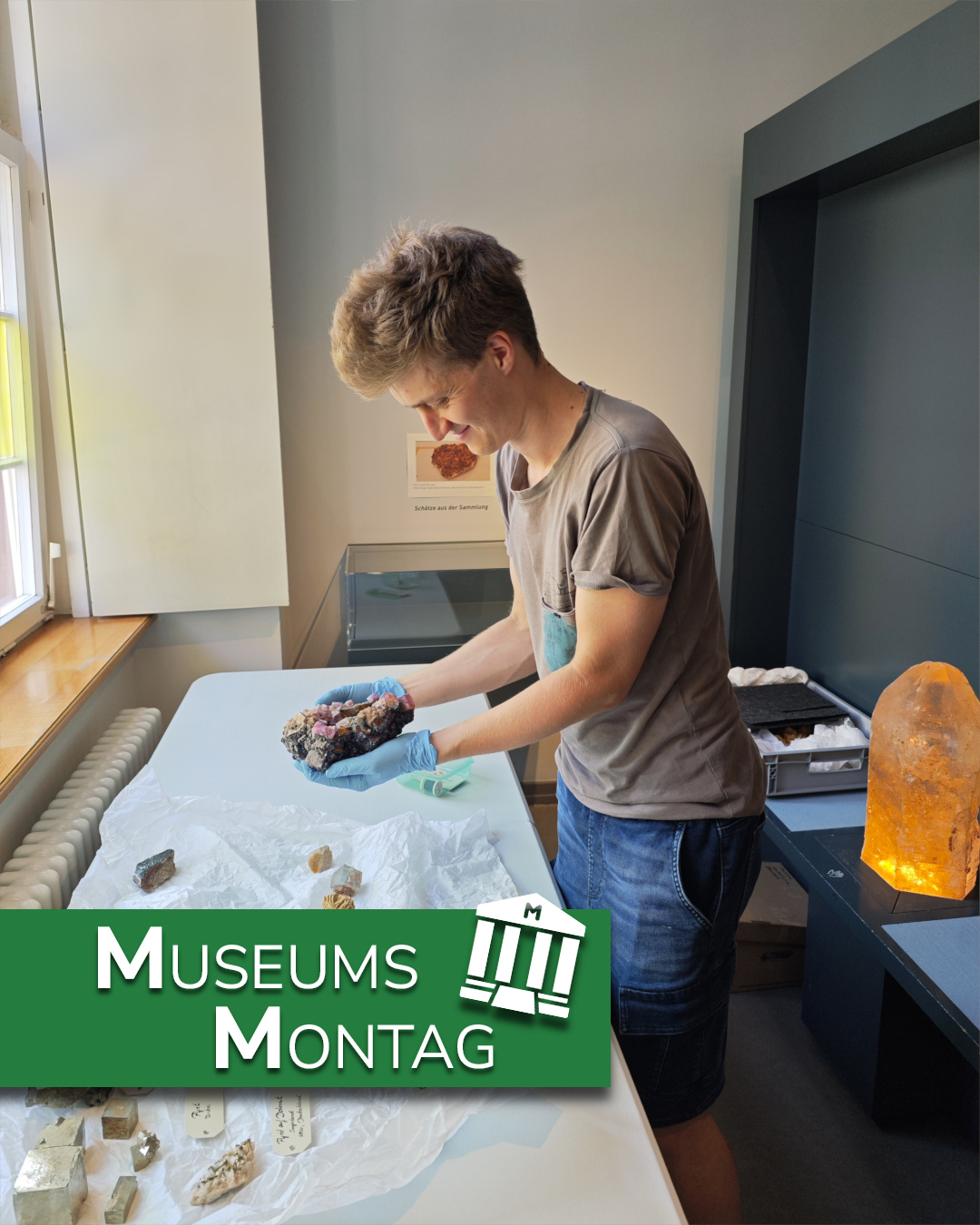 Eine Person mit blauen Handschuhen hält ein großes Mineralstück in den Händen und betrachtet es. Auf dem Tisch liegen weitere Gesteinsproben auf weißem Papier. Ein grüner Balken unten im Bild trägt die Aufschrift "Museums Montag" neben einem Logo. (KI-Alternativtext)