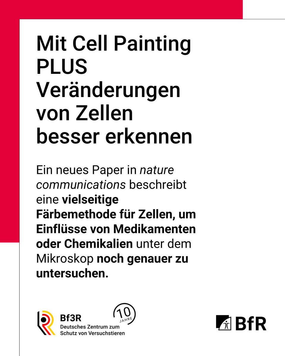 Hinweis - Der folgende Text wurde automatisch generiert: Infografik: Verbesserte Zelluntersuchung mittels Cell Painting PLUS. Eine neue Methode ermöglicht genauere Analysen unter dem Mikroskop.