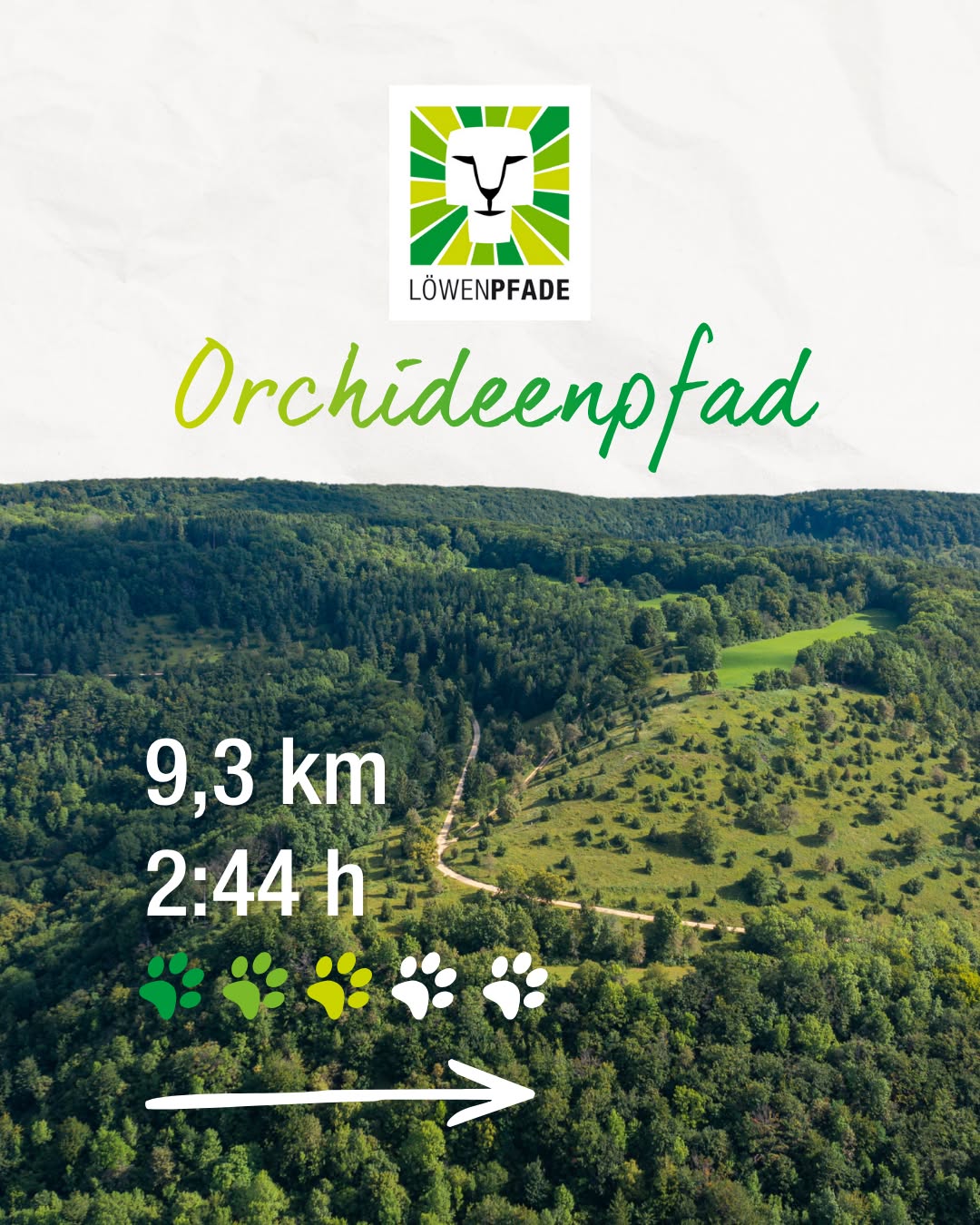 Luftbild eines Wald- und Wiesenlandschafts mit markiertem Wanderweg. Oben das Logo „Löwenpfade“ und der Schriftzug „Orchideenpfad“. Unten Angaben: 9,3 km, 2:44 h, fünf Pfoten-Symbole und ein Pfeil. (KI-Alternativtext)