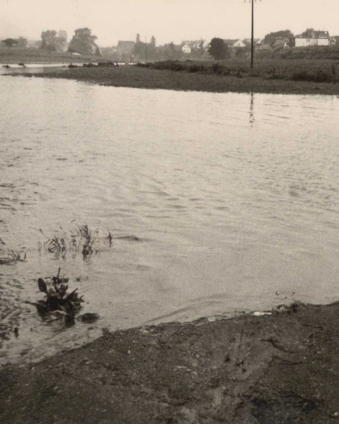 Eine Schwarz-Weiß-Aufnahme zeigt eine überschwemmte Landschaft. Im Vordergrund sind im Wasser stehende Pflanzen und ein schlammiger Uferstreifen zu sehen. Im Hintergrund erheben sich am gegenüberliegenden Ufer Häuser und Bäume. (KI-Alternativtext)