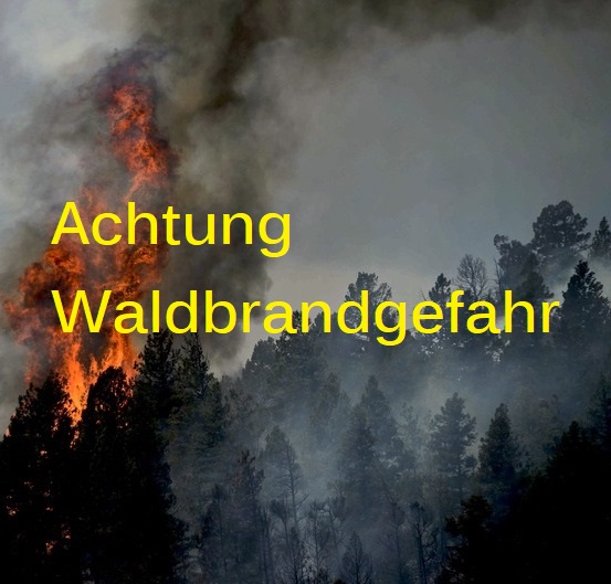 Dieser Alternativtext wurde KI-generiert: Ein Schwarz-Weiß-Bild zeigt einen Waldbrand mit Rauch und Flammen. Auf dem Bild steht der Warnhinweis "Achtung Waldbrandgefahr".