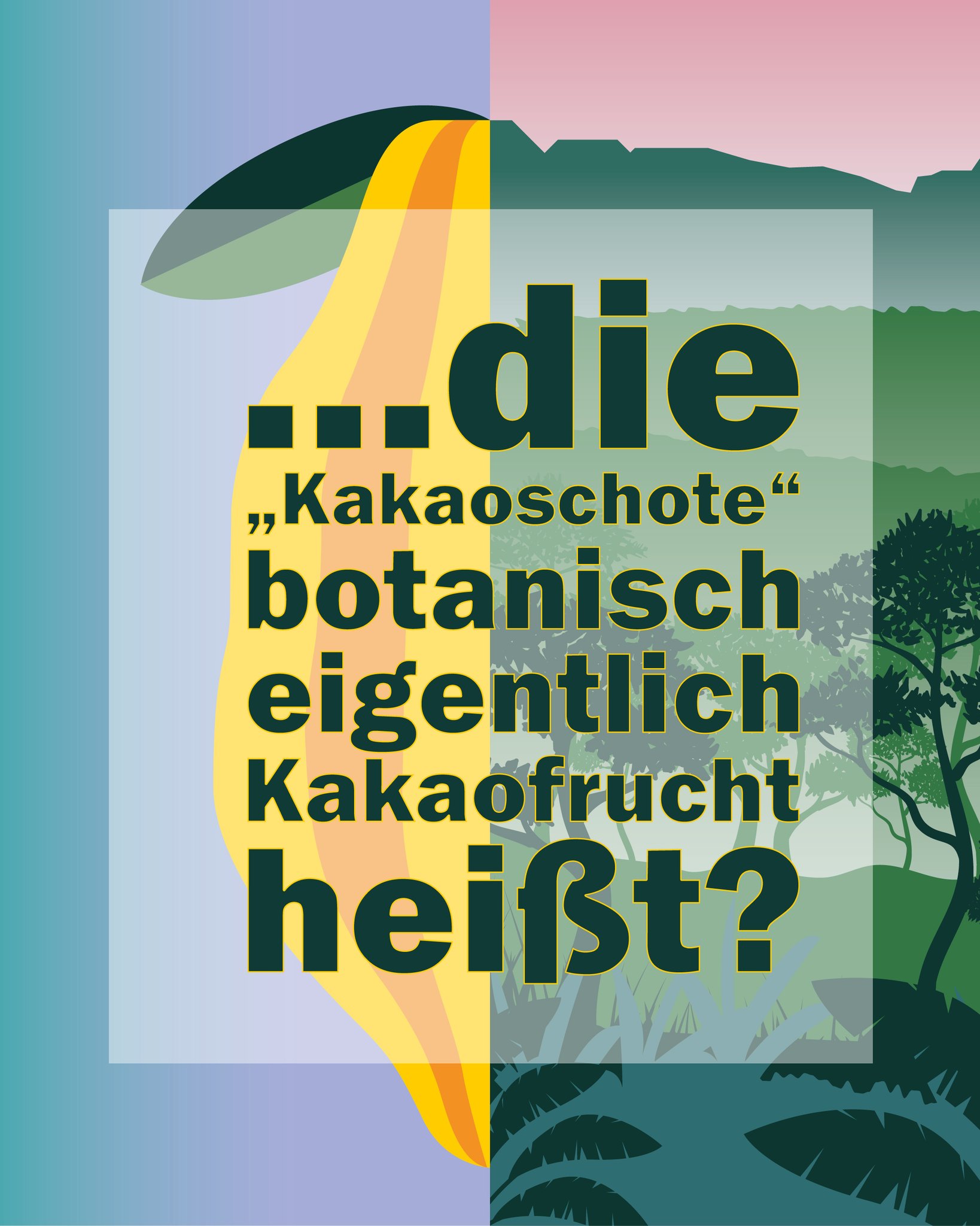 Grafik mit der Frage „…die ‚Kakaoschote‘ botanisch eigentlich Kakaofrucht heißt?“ vor einem stilisierten tropischen Hintergrund mit Bergen, Bäumen und einer gelben Fruchtform. (KI-Alternativtext)