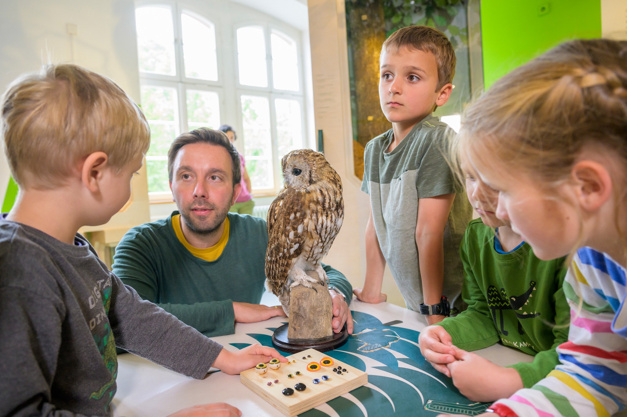 Dieser Alternativtext wurde KI-generiert: Mehrere Personen sitzen an einem Tisch und betrachten eine Eule, die auf einem Holzstück steht. Im Hintergrund ist ein Fenster und Pflanzen zu sehen.