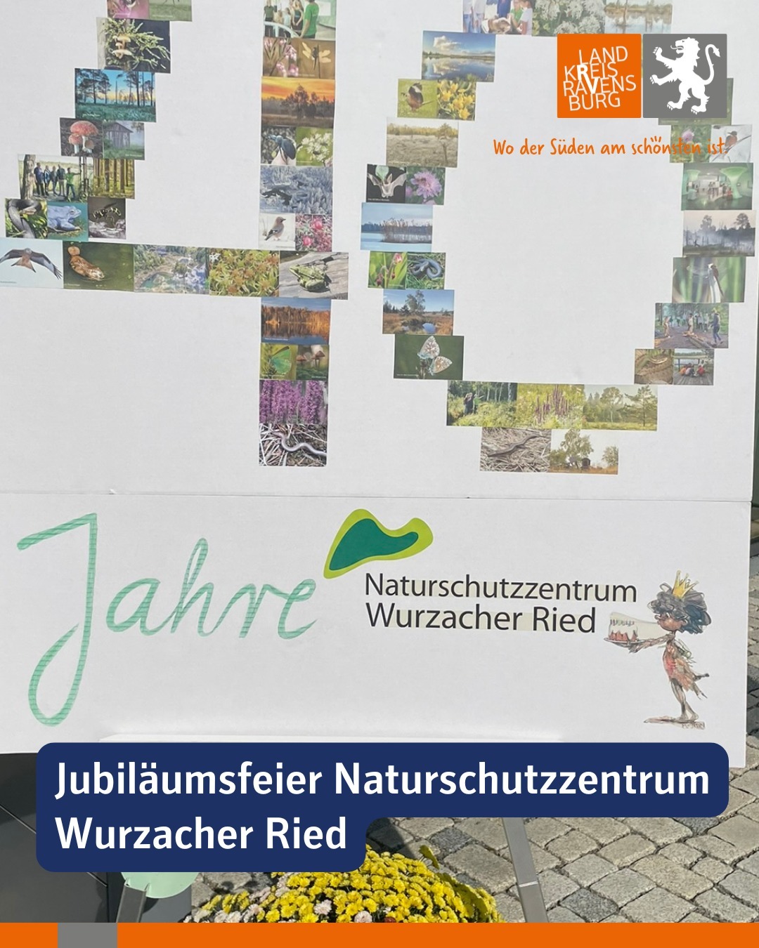 Buntes Plakatmotiv mit Text "40 Jahre Naturschutzzentrum Wurzacher Ried