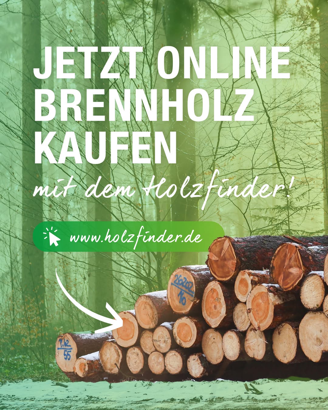 Dieser Alternativtext wurde KI-generiert: Ein Bild mit Text, der für den Online-Kauf von Brennholz wirbt. Im Hintergrund sind Bäume und gestapeltes Holz zu sehen.