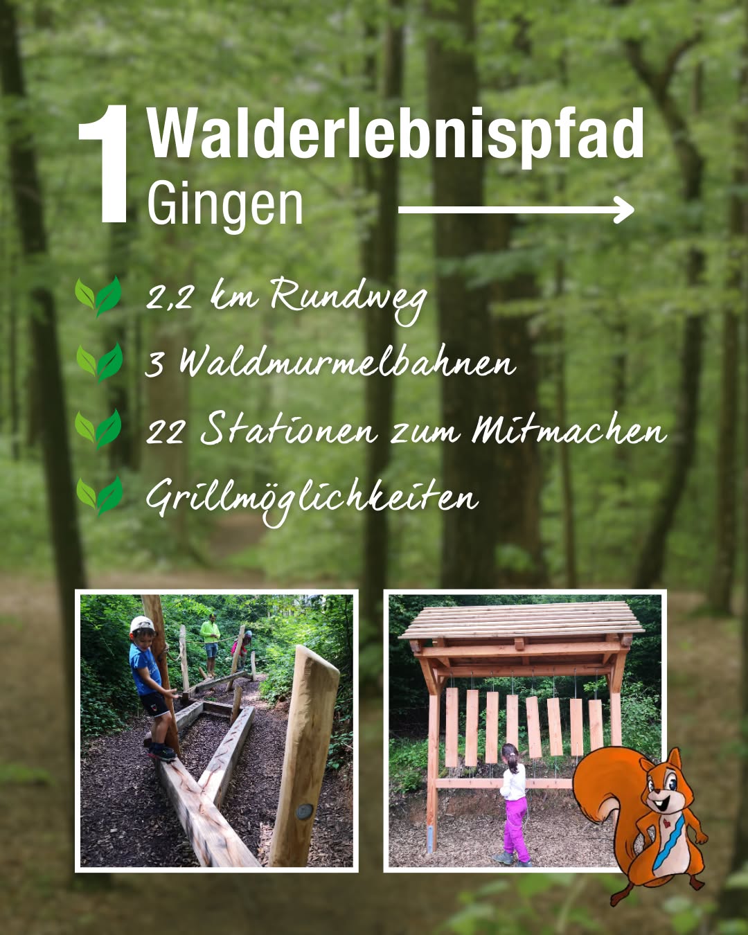 Dieser Alternativtext wurde KI-generiert: Ein Werbeplakat für einen Waldlehrpfad mit Informationen zu Länge, Attraktionen und Einrichtungen. Das Plakat zeigt außerdem kleine Bilder von Menschen auf einem Holzsteg und einer Schutzhütte.