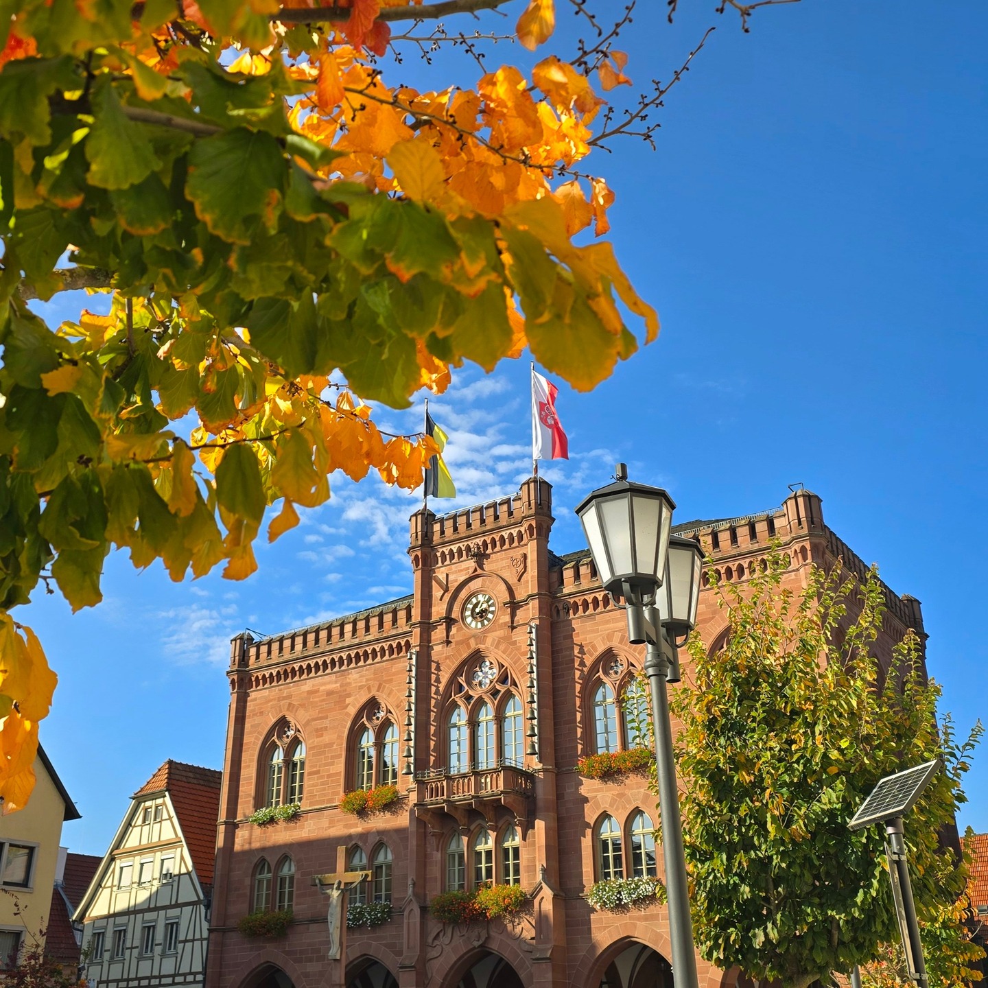 Dieser Alternativtext wurde KI-generiert: Ein Gebäude mit rotem Backstein und einem Turm ist an einem sonnigen Tag zu sehen. Im Vordergrund befinden sich Bäume mit herbstlichen Blättern.