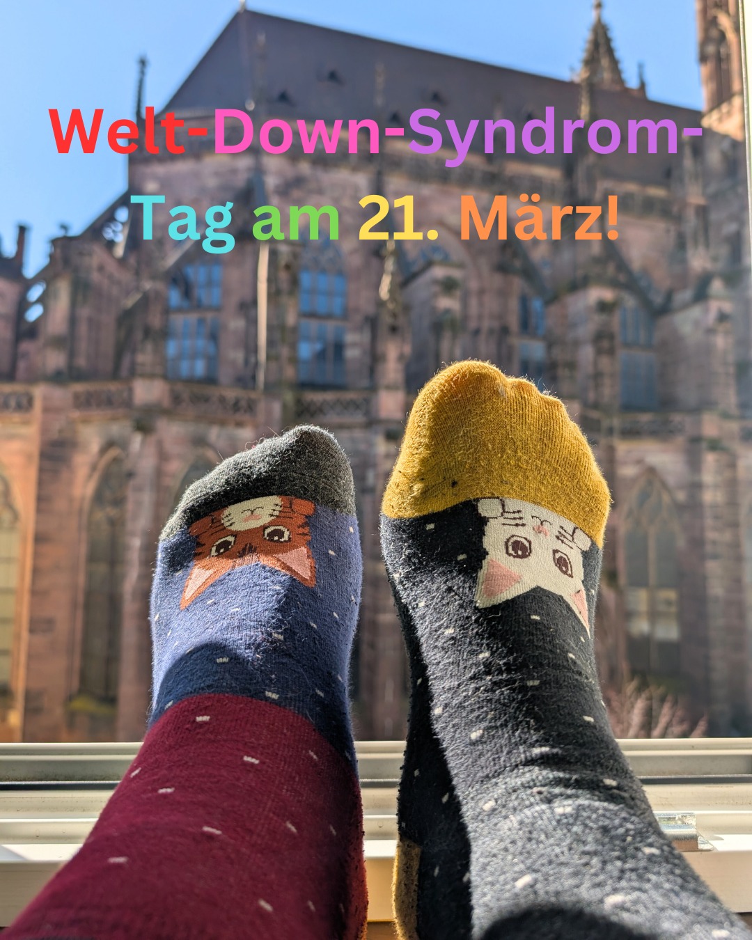 Zwei Socken mit Katzenmotiven liegen an einem sonnigen Fenster mit einem Gebäude im Hintergrund. Welt-Down-Syndrom-Tag am 21. März!