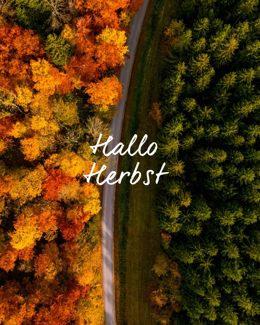 Dieser Alternativtext wurde KI-generiert: Luftaufnahme einer Straße, die von Bäumen mit herbstlichen Farben gesäumt ist. Der Text "Hallo Herbst" ist über das Bild geschrieben.
