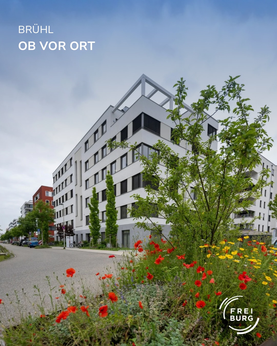 Dieser Alternativtext wurde KI-generiert: Ein modernes Gebäude mit einer Fassade in hellem Farbton steht neben Bäumen und blühenden Pflanzen. Im Vordergrund ist eine Straße mit parkenden Autos zu sehen.