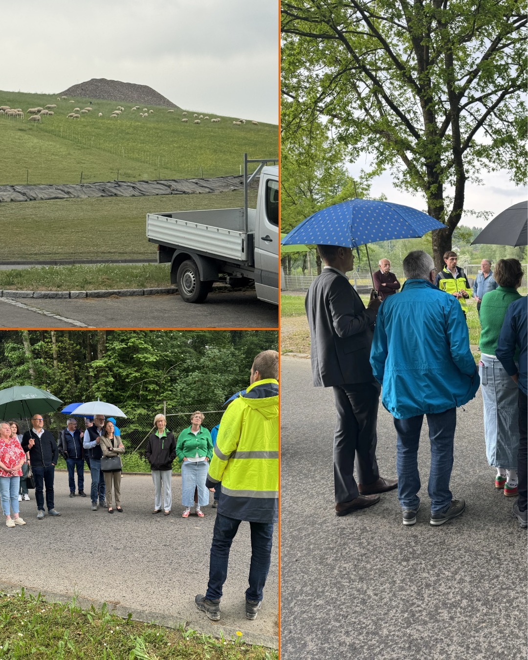 Zu sehen sind drei Bilder. Bild 1: Ein Hügel mit Schafen. Bild 2: Ausschussmitglieder von vorne fotografiert. Bild 3: Ausschussmitglieder stehen vor einem Schild.