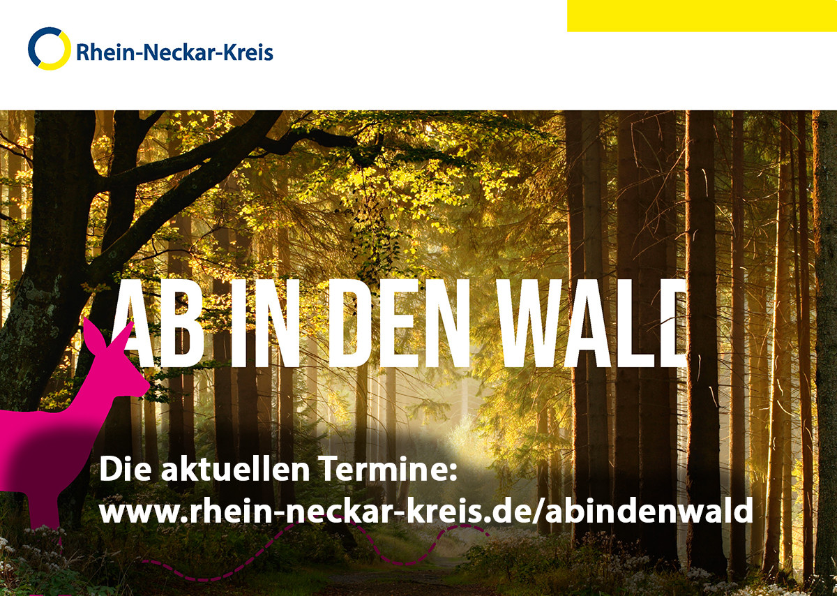 Dieser Alternativtext wurde KI-generiert: Ein Wald mit vielen Bäumen im goldenen Herbstlicht. Der Text "AB IN DEN WALL" ist prominent über das Bild gelegt.
