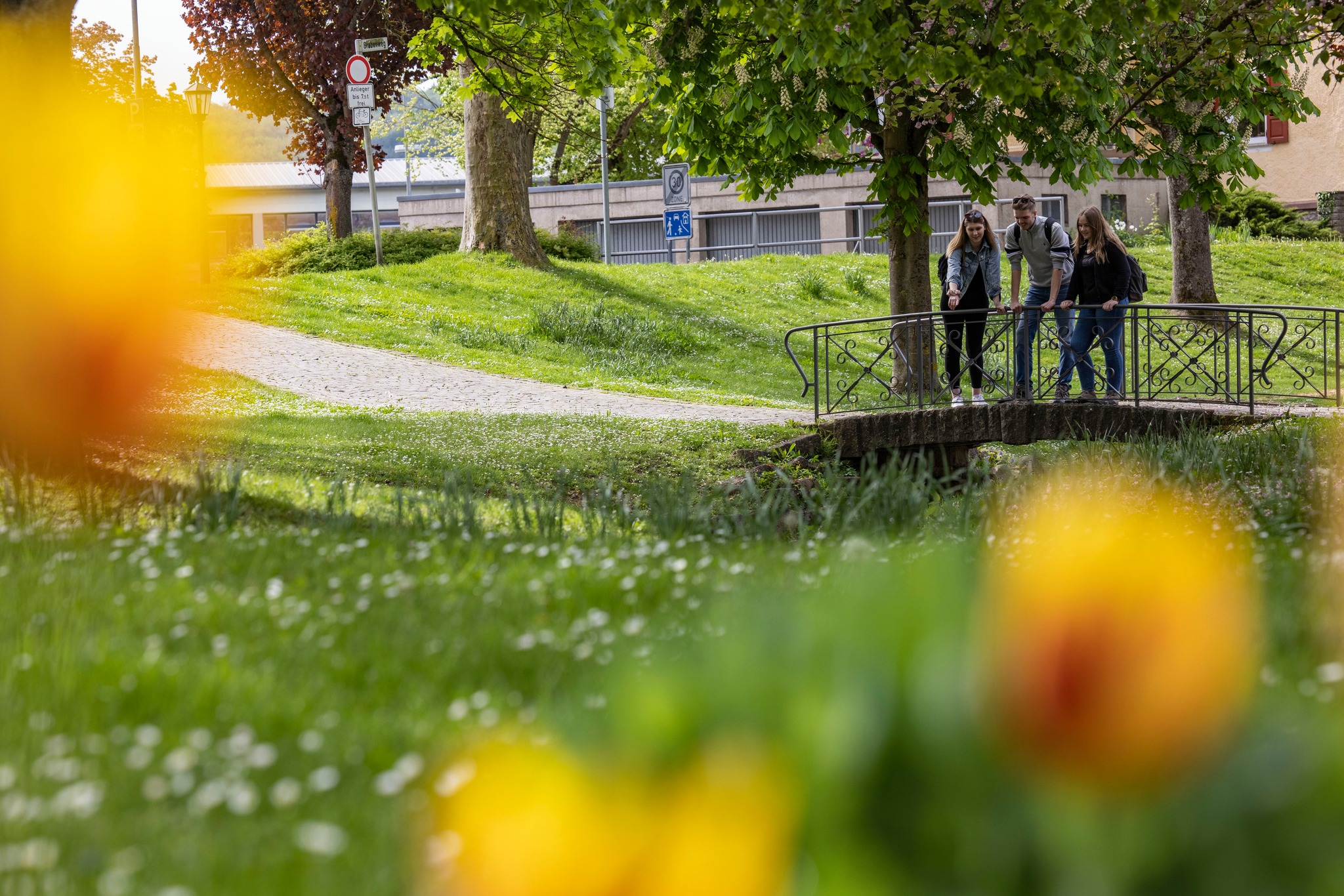 Drei Personen stehen auf einer kleinen Brücke in einem Park. Im Vordergrund sind gelbe Tulpen unscharf zu sehen.