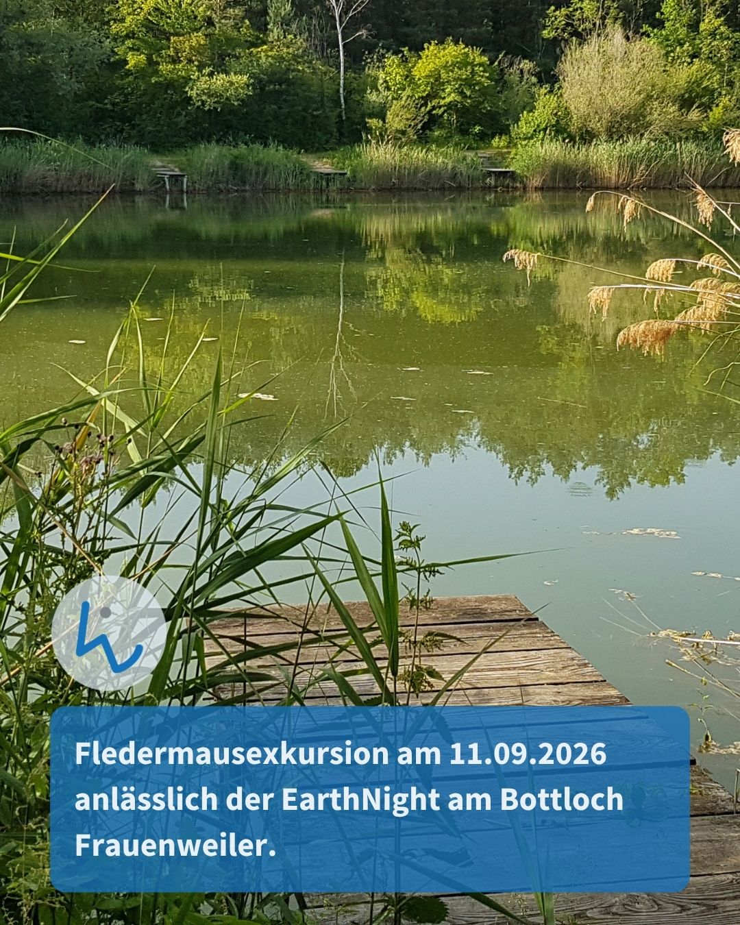 Teich mit Schilf und einem Holzsteg im Vordergrund. Ein blauer Textkasten unten lautet: "Fledermausexkursion am 11.09.2026 anlässlich der EarthNight am Bottloch Frauenweiler." (KI-Alternativtext)