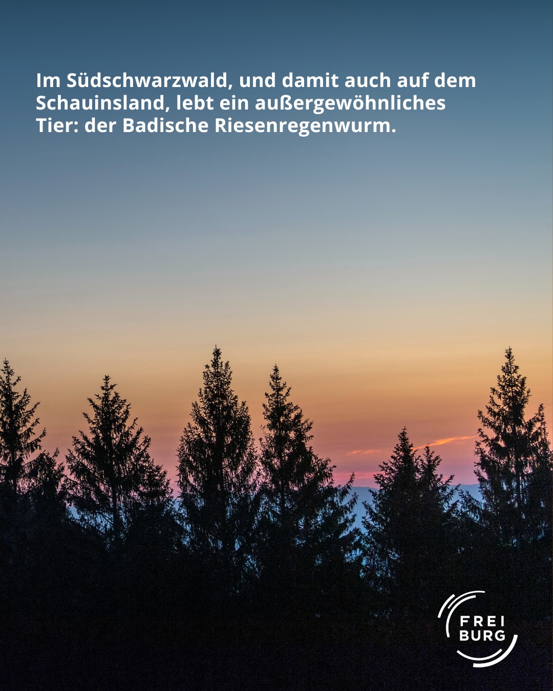 Dieser Alternativtext wurde KI-generiert: Eine Landschaft mit Bäumen im Vordergrund bei Sonnenuntergang. Der Himmel ist in verschiedenen Farbtönen von Blau und Rosa dargestellt.