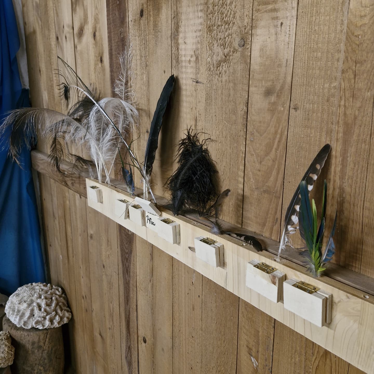 Ein Holzbrett mit verschiedenen Federn ist an einer Holzwand befestigt. Die Federn sind in kleinen Fächern auf dem Brett sortiert.