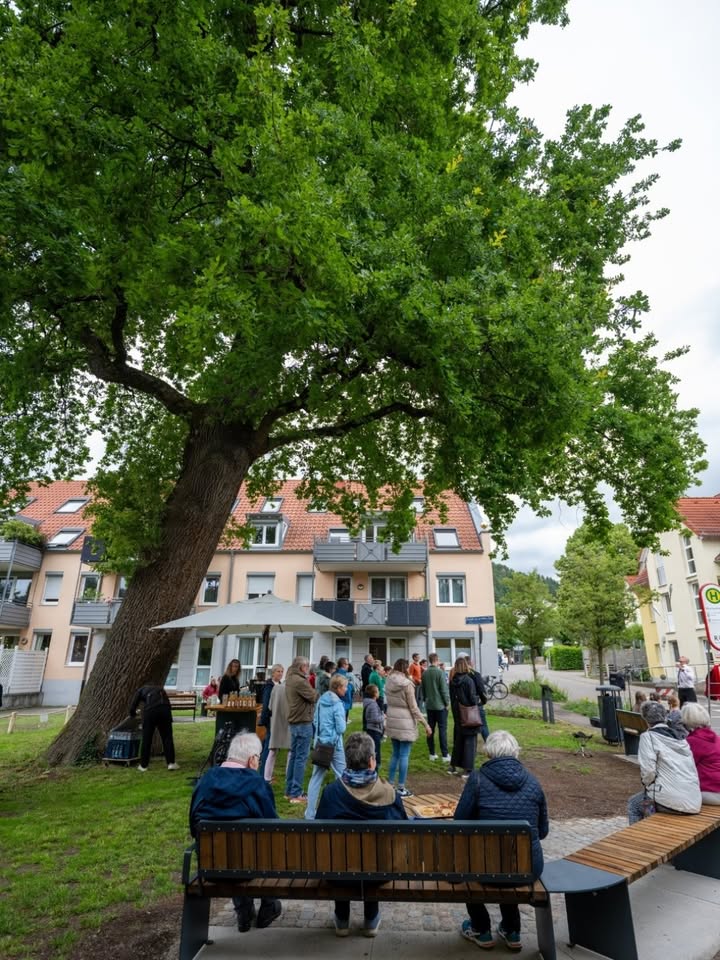 Mehrere Personen stehen unter einem großen Baum auf einer Wiese, einige sitzen auf Bänken und schauen in Richtung einer Gruppe. Im Hintergrund sind Wohnhäuser und ein Sonnenschirm zu sehen. (KI-Alternativtext)