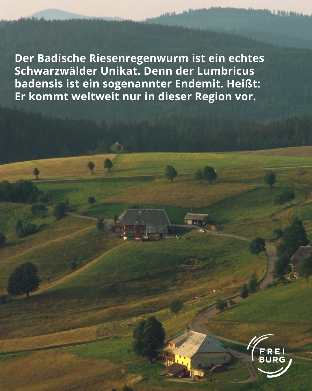 Dieser Alternativtext wurde KI-generiert: Eine hügelige Landschaft mit Wiesen, Bäumen und einigen Gebäuden ist zu sehen. Der Hintergrund ist von bewaldeten Hügeln geprägt.