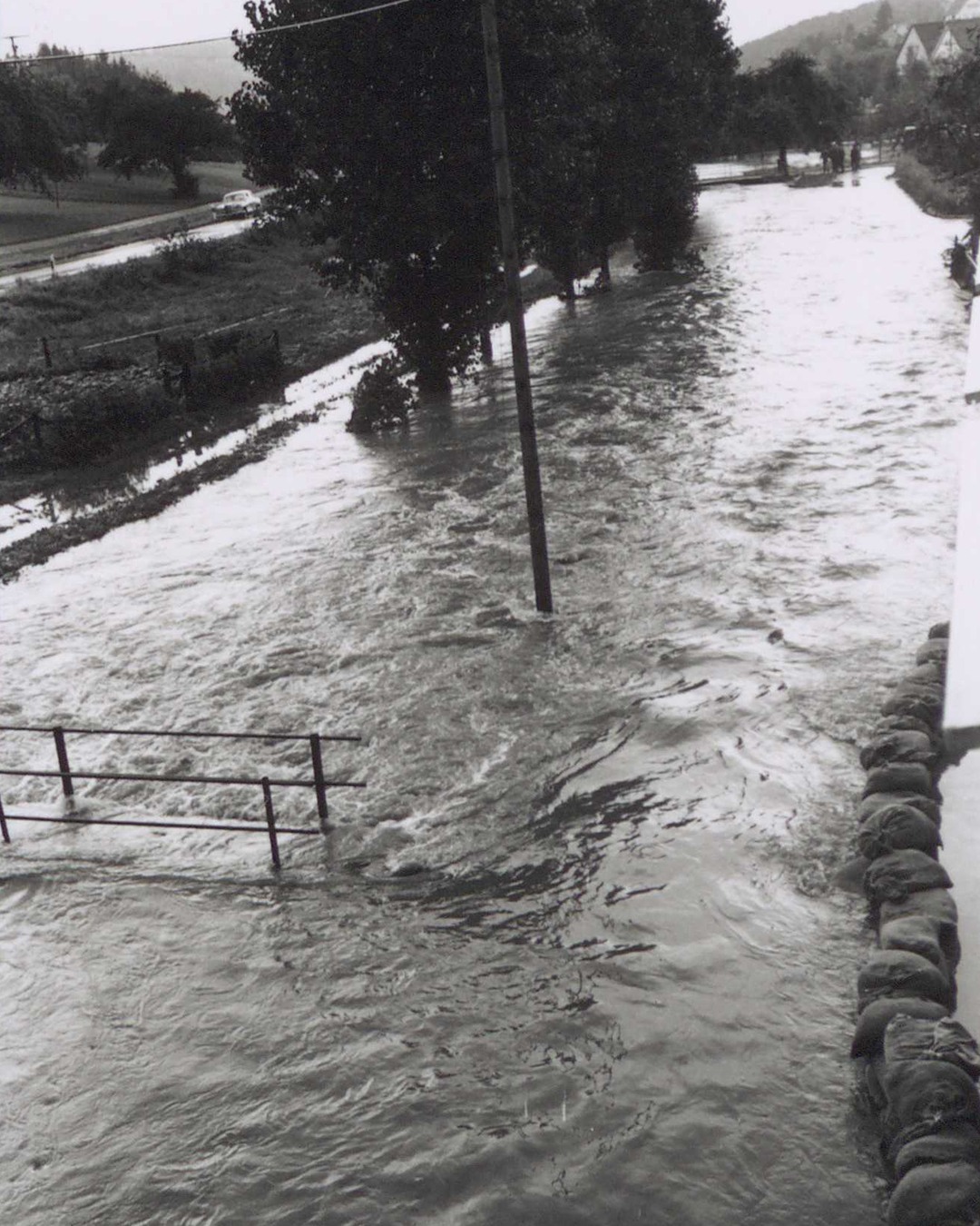 Starkes Hochwasser überflutet eine Straße mit Bäumen und einem Strommast. Sandbagger bilden einen Damm auf der rechten Seite, links ragt ein Metallgeländer aus dem Wasser. (KI-Alternativtext)