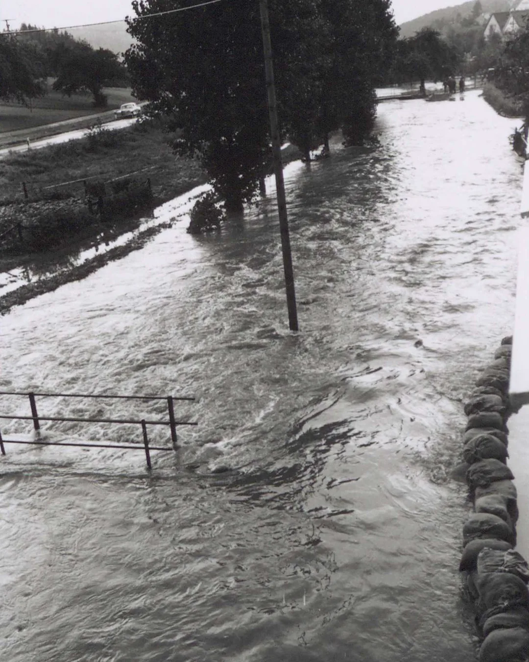 Starkes Hochwasser überflutet eine Straße mit Bäumen und einem Strommast. Sandbagger bilden einen Damm auf der rechten Seite, links ragt ein Metallgeländer aus dem Wasser. (KI-Alternativtext)