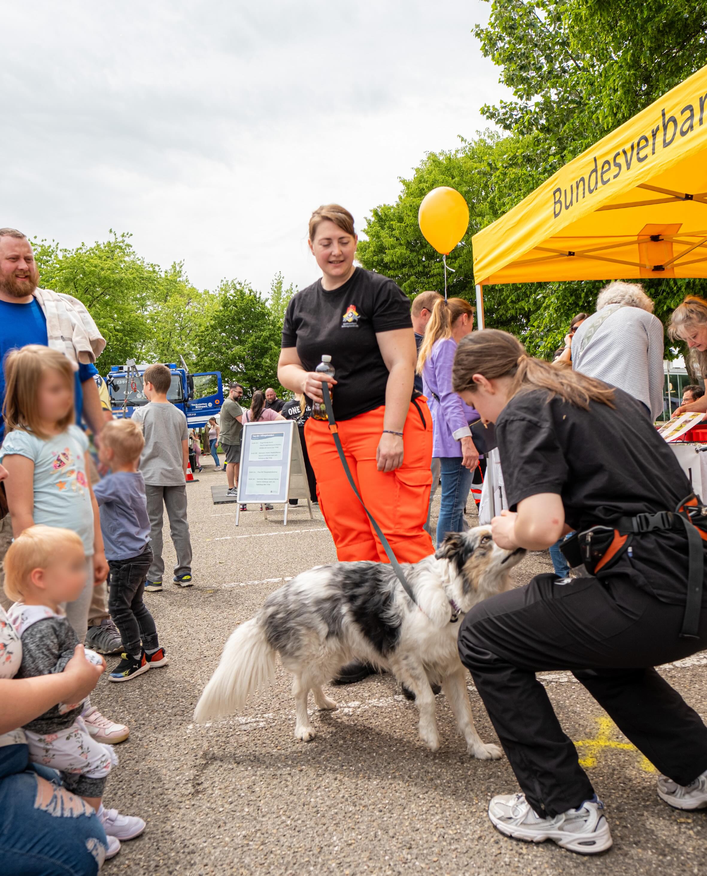 Dieser Alternativtext wurde KI-generiert: Eine Aufnahme von Menschen und Tieren im Freien. Im Hintergrund ist ein gelber Pavillon zu sehen, während im Vordergrund eine Person sich mit einem Hund beschäftigt.
