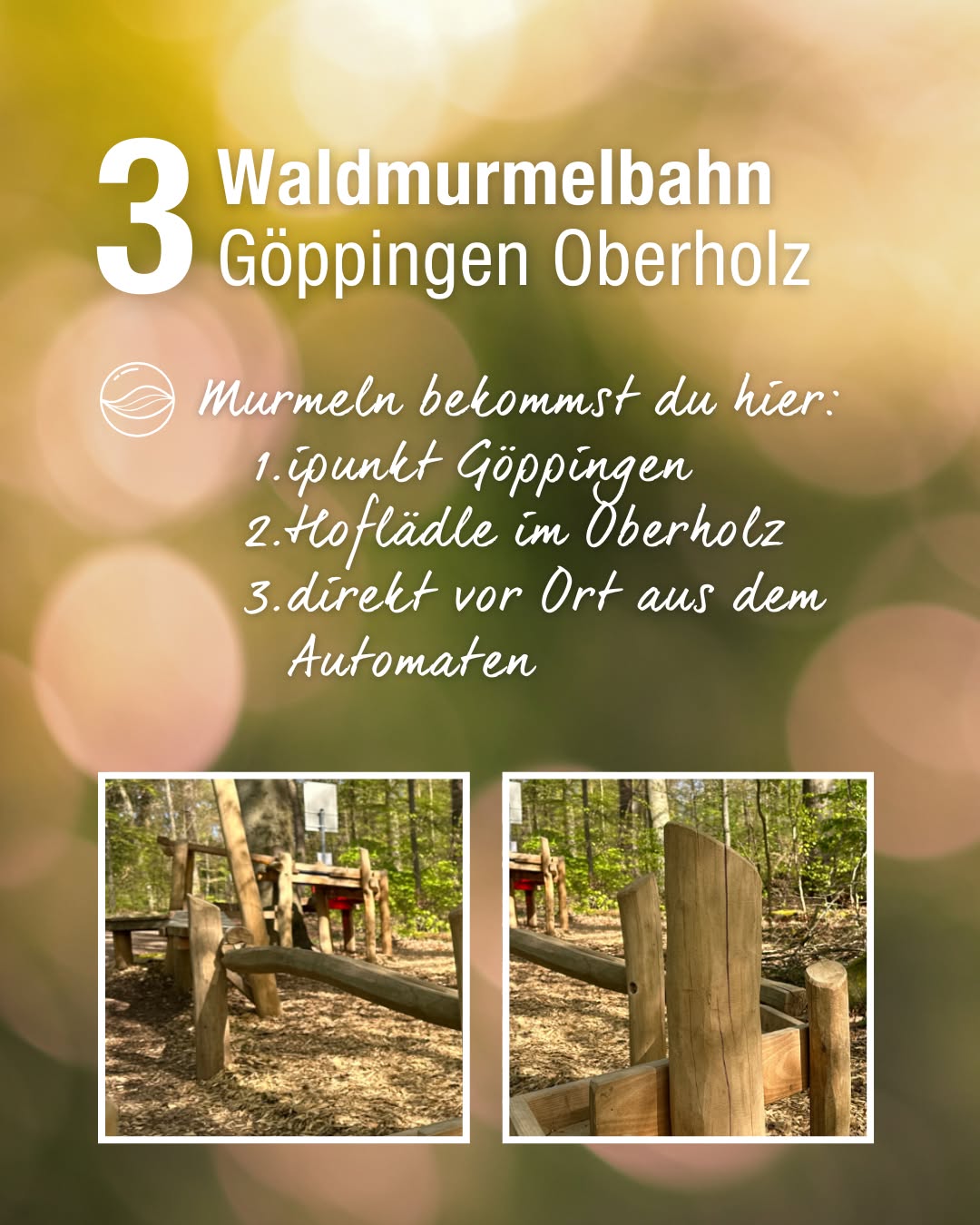 Dieser Alternativtext wurde KI-generiert: Ein farbiges Bild zeigt Informationen zu einem Ort, an dem man Murmeln bekommen kann. Darunter sind drei kleine Aufnahmen von Holzstrukturen im Wald zu sehen.