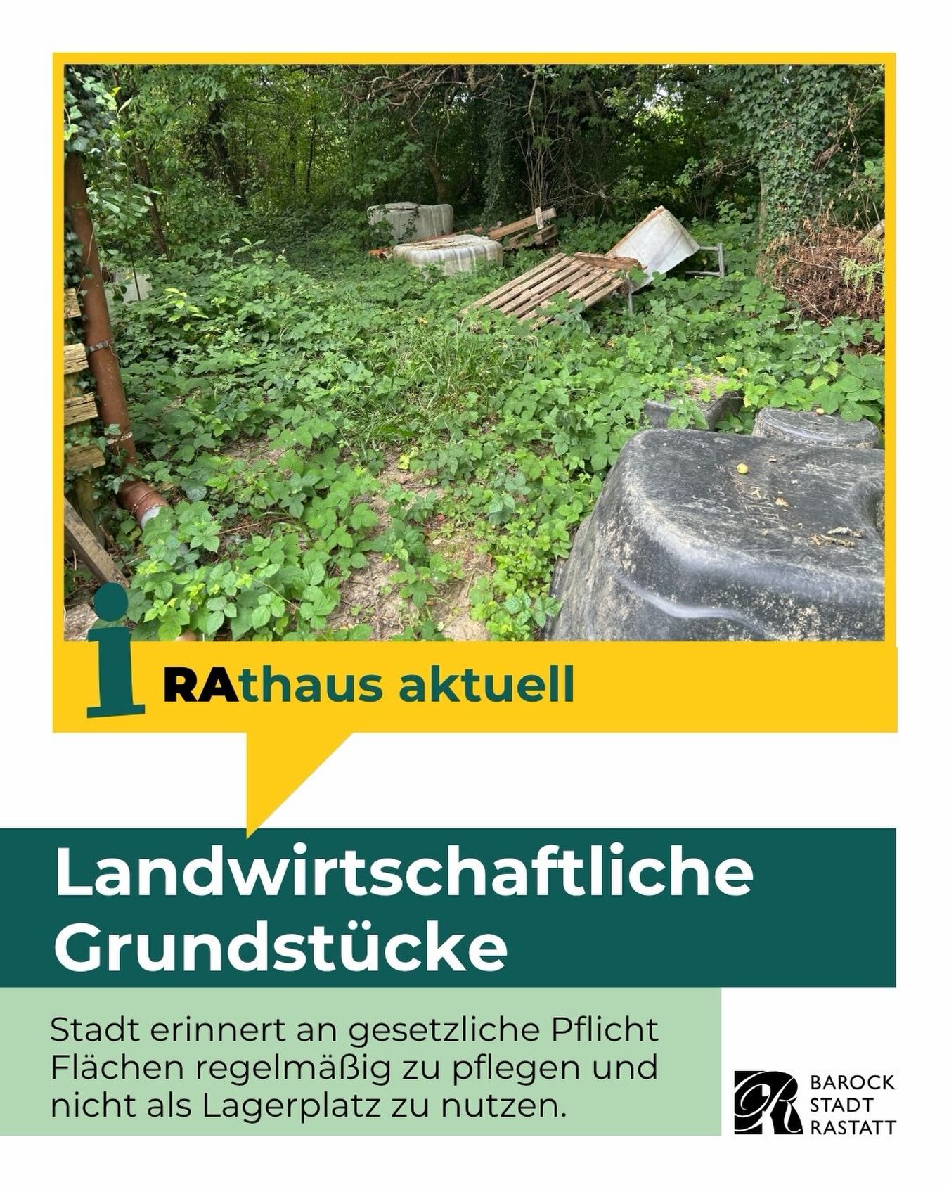 Ein verwildertes Grundstück mit hohem Gras, auf dem Holzpaletten und Betonblöcke liegen. Ein gelber Balken trägt die Aufschrift „Rathaus aktuell“, gefolgt von der Überschrift „Landwirtschaftliche Grundstücke“. Der Text lautet: „Stadt erinnert an gesetzliche Pflicht Flächen regelmäßig zu pflegen und nicht als Lagerplatz zu nutzen.“, ergänzt durch das Logo der Barockstadt Rastatt. (KI-Alternativtext)