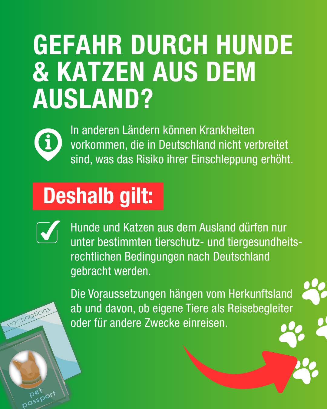 Grüner Hintergrund mit weißer Schrift und Symbolen. Der Text thematisiert Gesundheitsrisiken durch Tiere aus dem Ausland und die entsprechenden Einfuhrbestimmungen nach Deutschland.