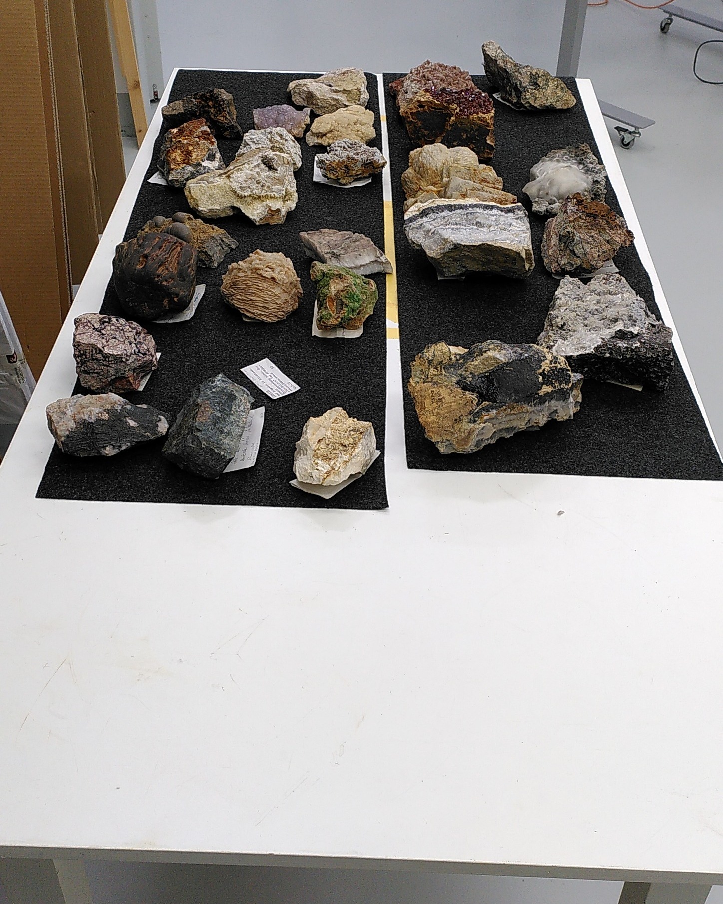 Dieser Alternativtext wurde KI-generiert: Verschiedene Gesteinsproben liegen auf einer dunklen Unterlage auf einem weißen Tisch ausgestellt. Die Steine haben unterschiedliche Farben und Formen.