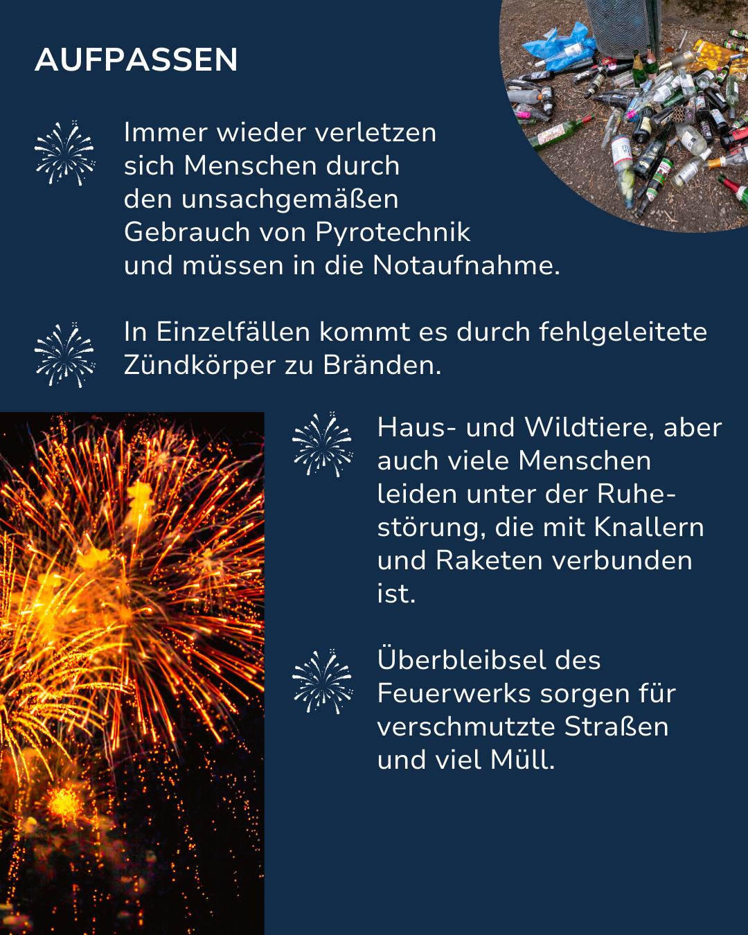 Dieser Alternativtext wurde KI-generiert: Ein Plakat mit Warnhinweisen zu Pyrotechnik. Es zeigt Feuerwerkskörper und Blumen, begleitet von Texten über Verletzungsrisiken und Lärmbelästigung.