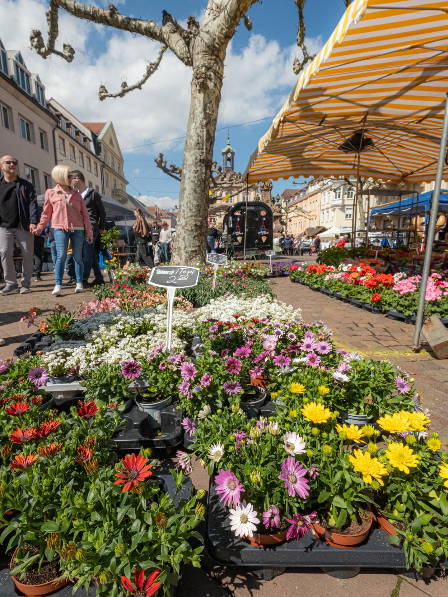 Dieser Alternativtext wurde KI-generiert: Ein Marktplatz mit bunten Blumenständen im Vordergrund. Im Hintergrund sind Gebäude und Menschen zu sehen.