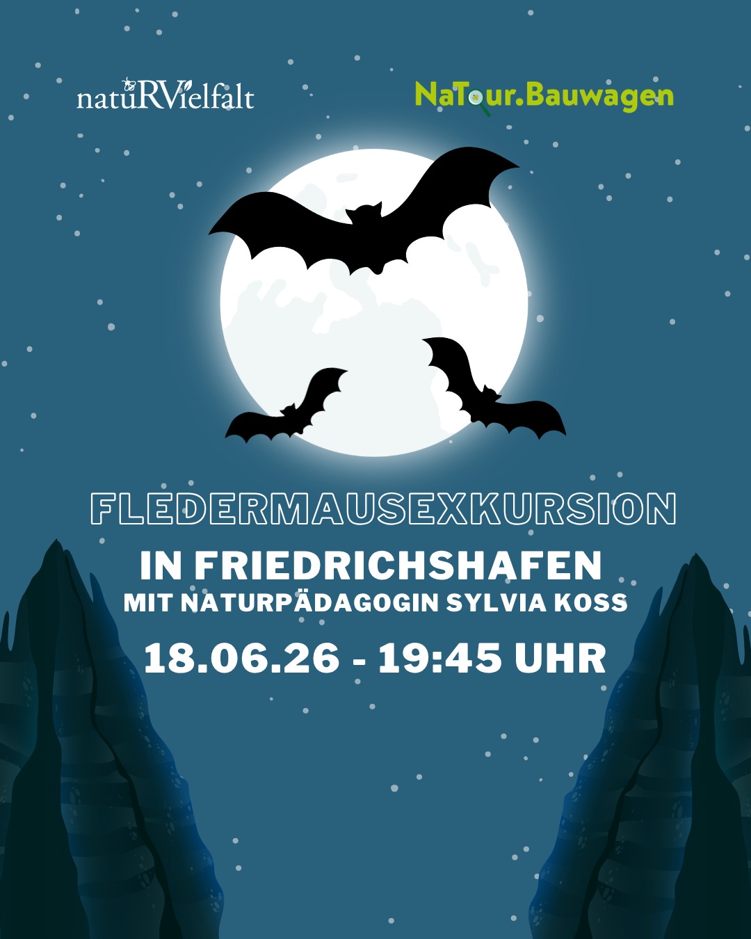 Nachtansicht mit Vollmond, drei Fledermaussilhouetten und Sternenhimmel. Werbung für eine Fledermausexkursion in Friedrichshafen am 18.06.26 von 19:45 Uhr mit Naturpädagogin Sylvia Koss. Logos von natüRVielfalt und NaTour.Bauwagen oben links und rechts. (KI-Alternativtext)