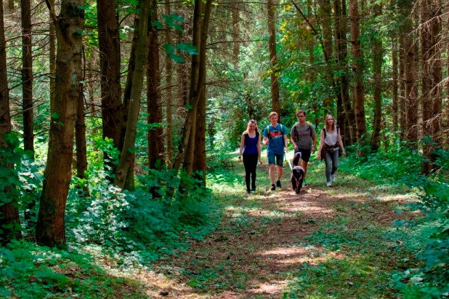 Eine Gruppe von Menschen geht mit einem Hund durch einen Waldweg.