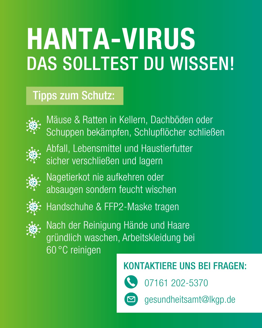 Grünes Informationsplakat zum Hanta-Virus mit Schutztipps: Bekämpfung von Mäusen und Ratten, sicheres Lagern von Abfall und Lebensmitteln, feuchtes Wischen von Nagetierkot, Tragen von Handschuhen und FFP2-Maske sowie gründliches Waschen von Händen und Haaren nach Reinigung. Kontaktdaten für Fragen sind unten angegeben. (KI-Alternativtext)