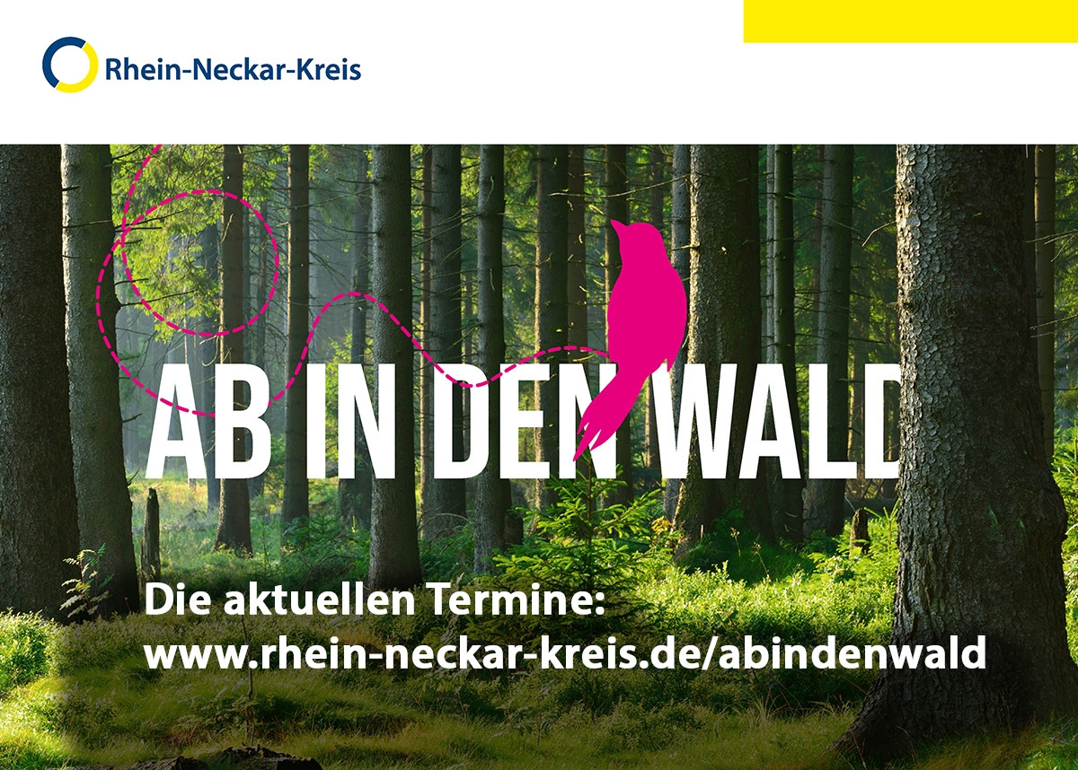 Dieser Alternativtext wurde KI-generiert: Ein Waldstück mit Bäumen im Hintergrund und einem pinkfarbenen Farbklecks. Im Vordergrund befindet sich ein Text, der Informationen zu aktuellen Terminen enthält.