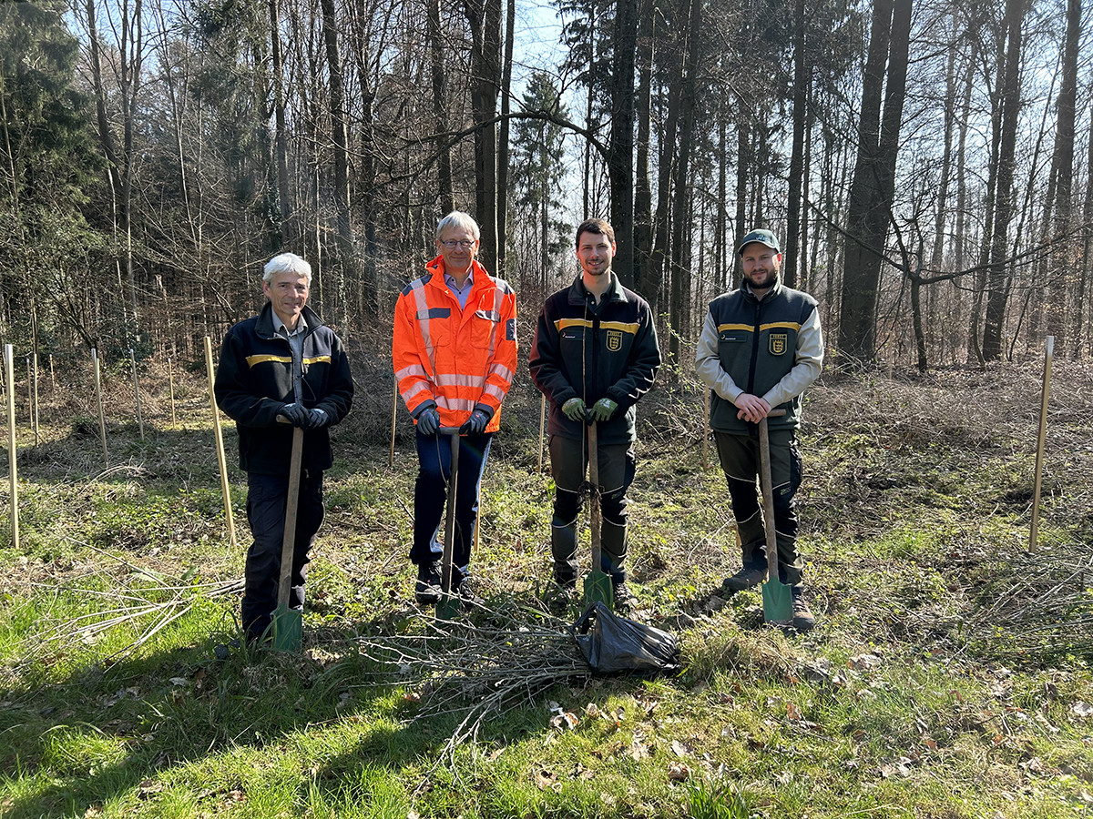 Dieser Alternativtext wurde KI-generiert: Vier Personen stehen auf einer Lichtung in einem Wald. Sie tragen Arbeitskleidung und halten Schaufeln und Werkzeuge bereit, möglicherweise für Pflanzarbeiten.