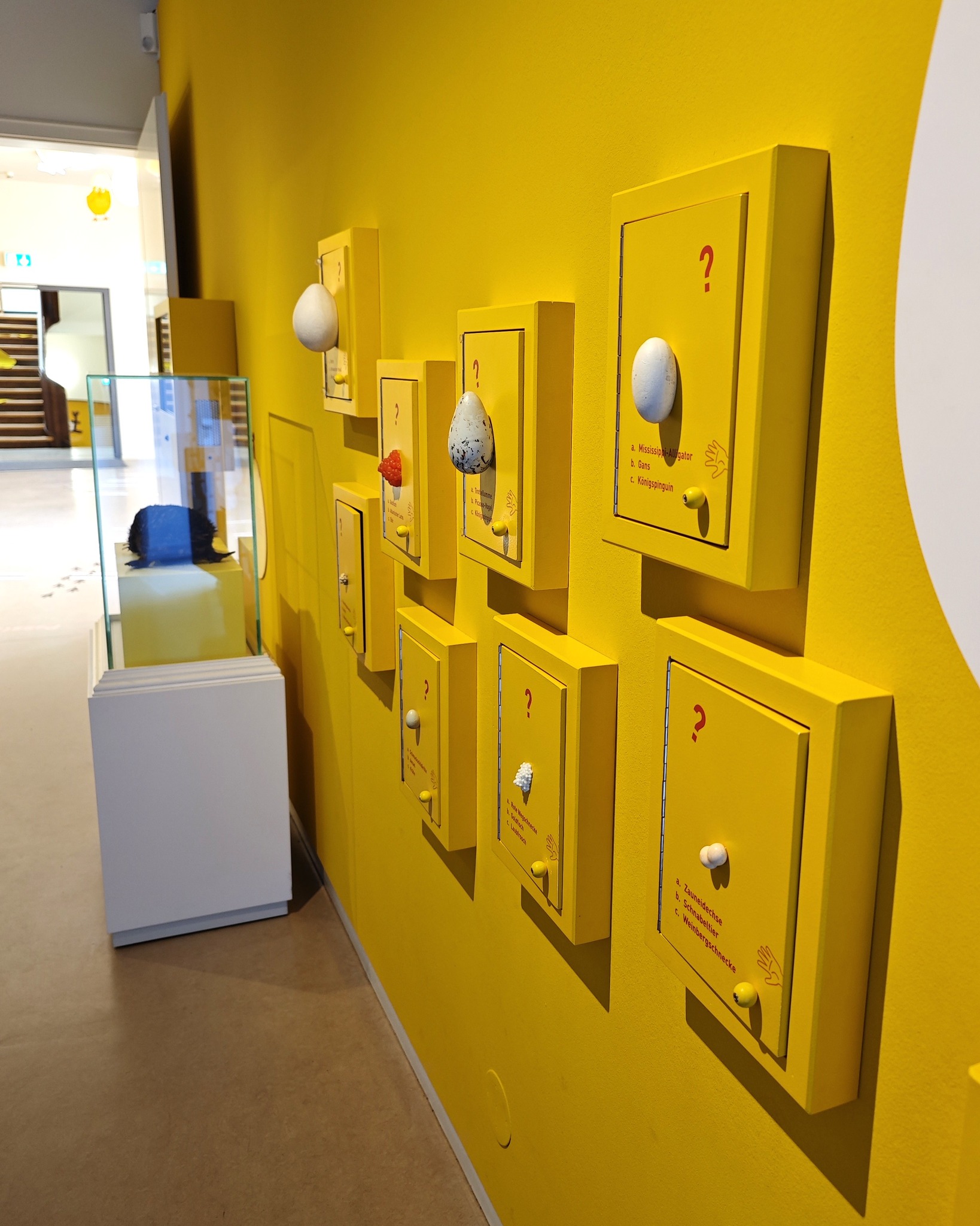 Dieser Alternativtext wurde KI-generiert: Eine gelbe Wand mit mehreren rechteckigen Elementen, die an Eiern erinnern. Einige Elemente haben Fragezeichen und kleine Ausstellungen.
