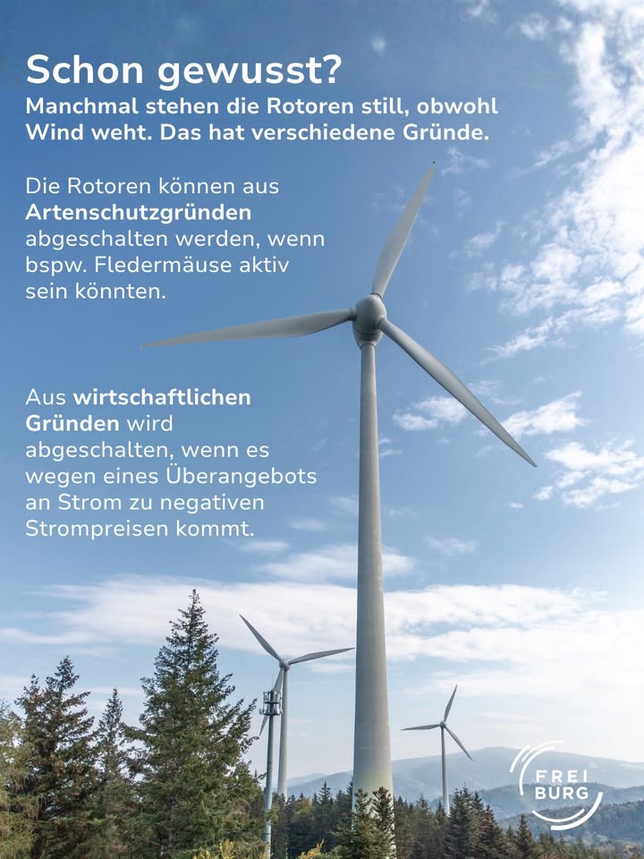 Dieser Alternativtext wurde KI-generiert: Ein farbiges Bild zeigt Windkraftanlagen vor einer hügeligen Landschaft und einem blauen Himmel. Textabschnitte erklären, warum Windräder manchmal stillstehen können.