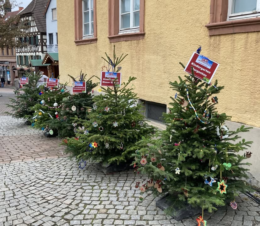 Dieser Alternativtext wurde KI-generiert: Mehrere geschmückte Weihnachtsbäume stehen auf einem gepflasterten Platz vor einem Gebäude. Die Bäume sind mit Ornamenten und kleinen Dekorationen verziert.