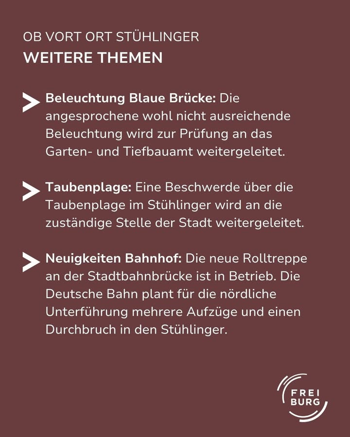 Informationstext über verschiedene Themen, darunter Beleuchtung, Taubenplage und Bahnhofsumbau. Der Text ist auf dunkelbraunem Hintergrund  dargestellt.