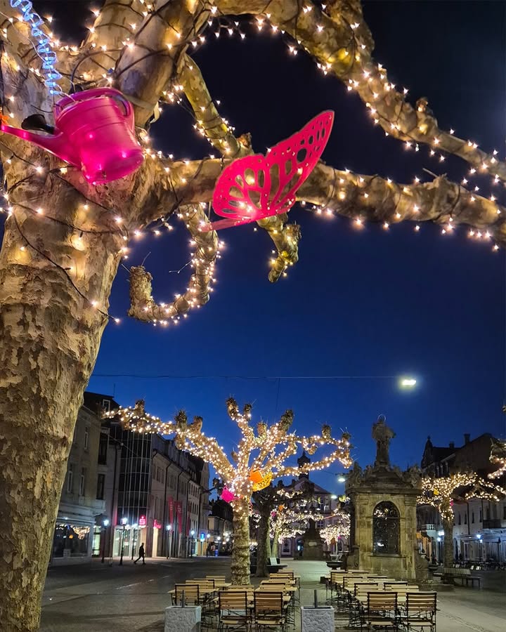 Dieser Alternativtext wurde KI-generiert: Die Baumkronen sind mit Lichtern geschmückt und vor dem dunklen Nachthimmel abgebildet. Im Vordergrund sind rosa Skulpturen zu sehen, die an Schmetterlinge oder Flügel erinnern.