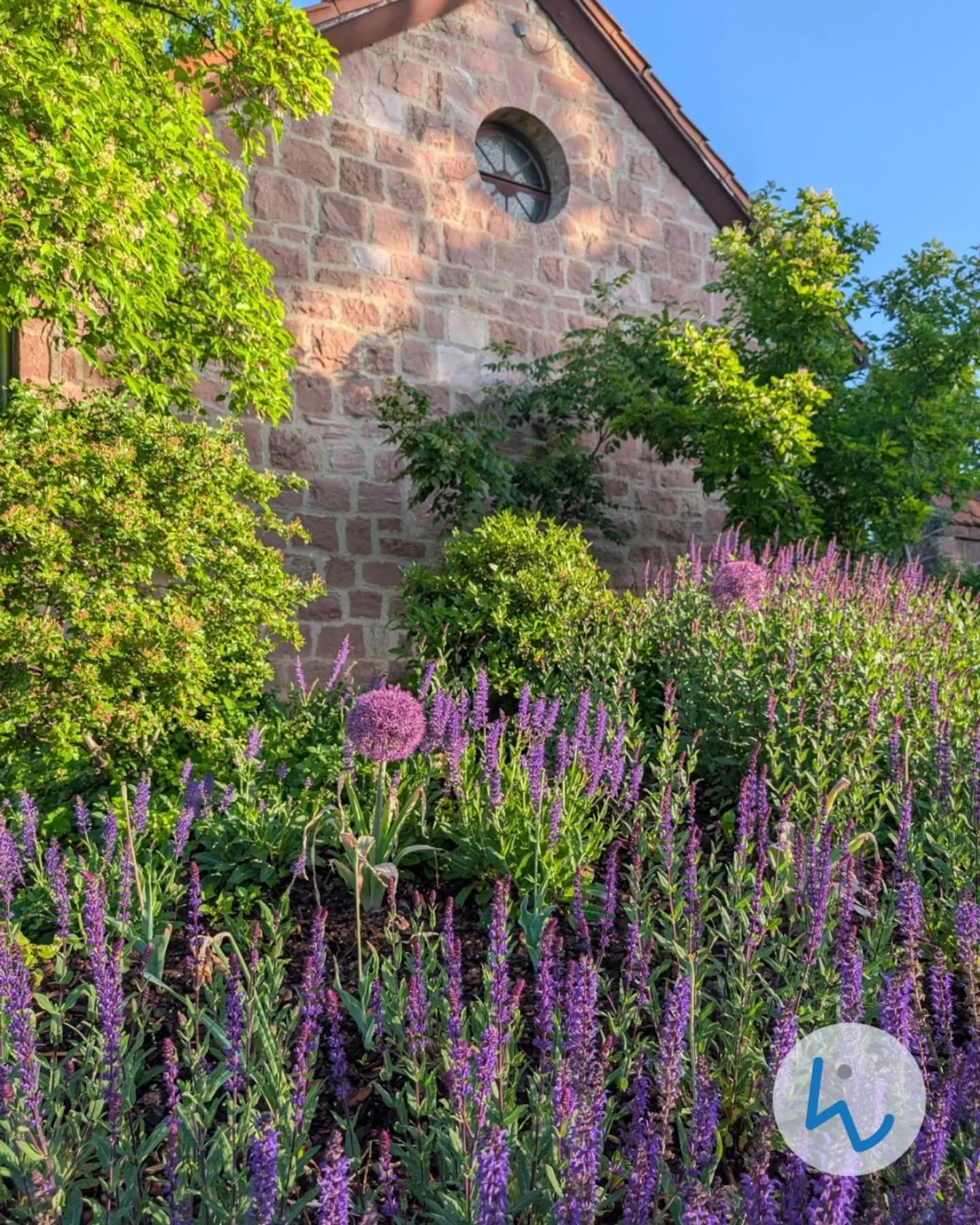 Dieser Alternativtext wurde KI-generiert: Ein Gebäude mit einer Fensteröffnung ist von üppigem, grünem Laub und violetten Blumen umgeben. Das Bild ist farbig und zeigt einen hellen blauen Himmel.